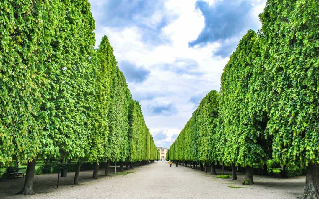 Exploring Paris on a Bike: Cycling Routes for Olympic Visitors