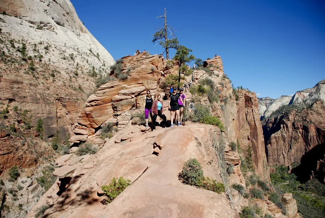 top zion hikes